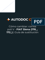 Cómo Cambiar - Correa Poli V - FIAT Siena (178 - , 172 - ) - Guía de Sustitución