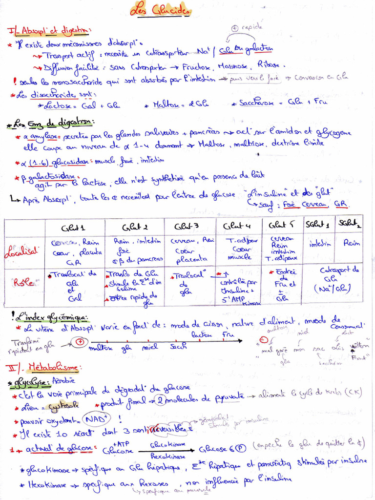 Résumé0 Biochimie Structurale | PDF
