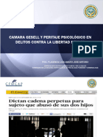 Cámara_Gessel_y_peritaje_psicológico_en_delitos_contra_la_libertad_sexual_h_I09RAoN