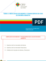 Tema 6. Economã - A Abierta