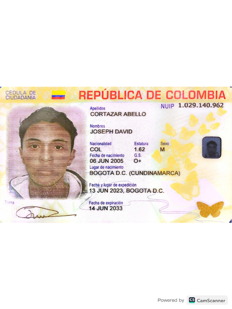 Cédula | PDF
