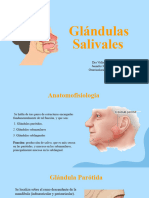 Glándulas Salivales y Tumores