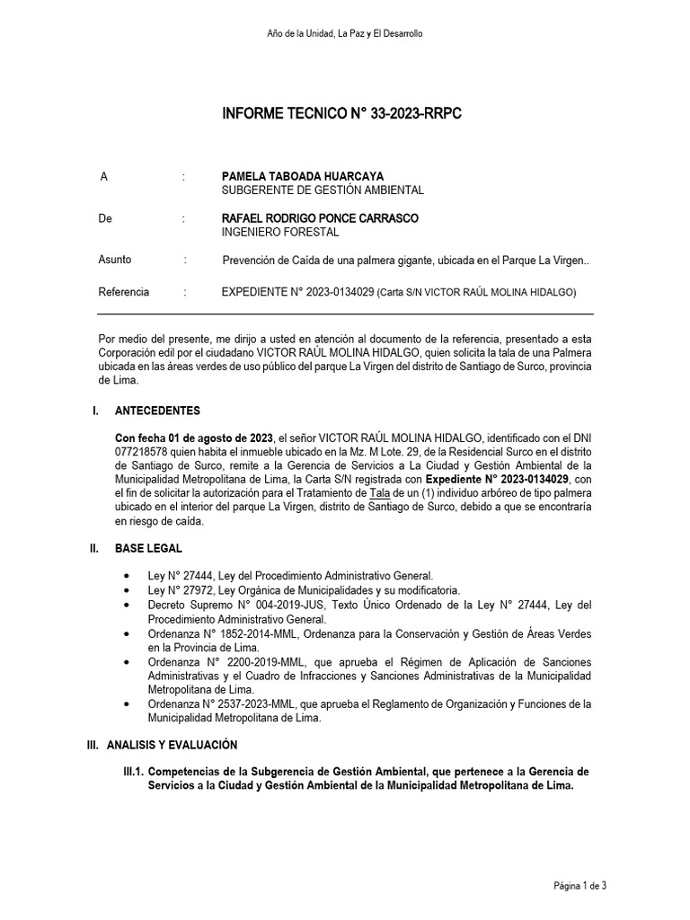 Informe Técnico #033-2023-RRPC | PDF | Derecho