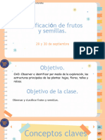 1° Clasificación-De-Frutas-Y-Semillas-29-Y-30-De-Sept.