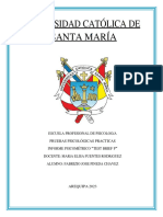 Brief P Informe