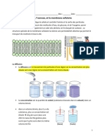 1 - 3 Notes Osmose - Membrane - Cell