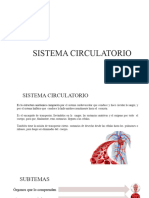 Clase 7 - Sistema Circulatorio