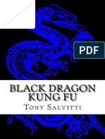 Black Dragon Kung Fu Advanced Tony Salvitti