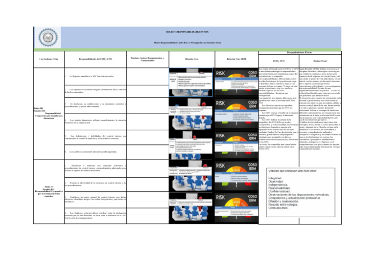 Matriz de Responsabilidades SOX | PDF