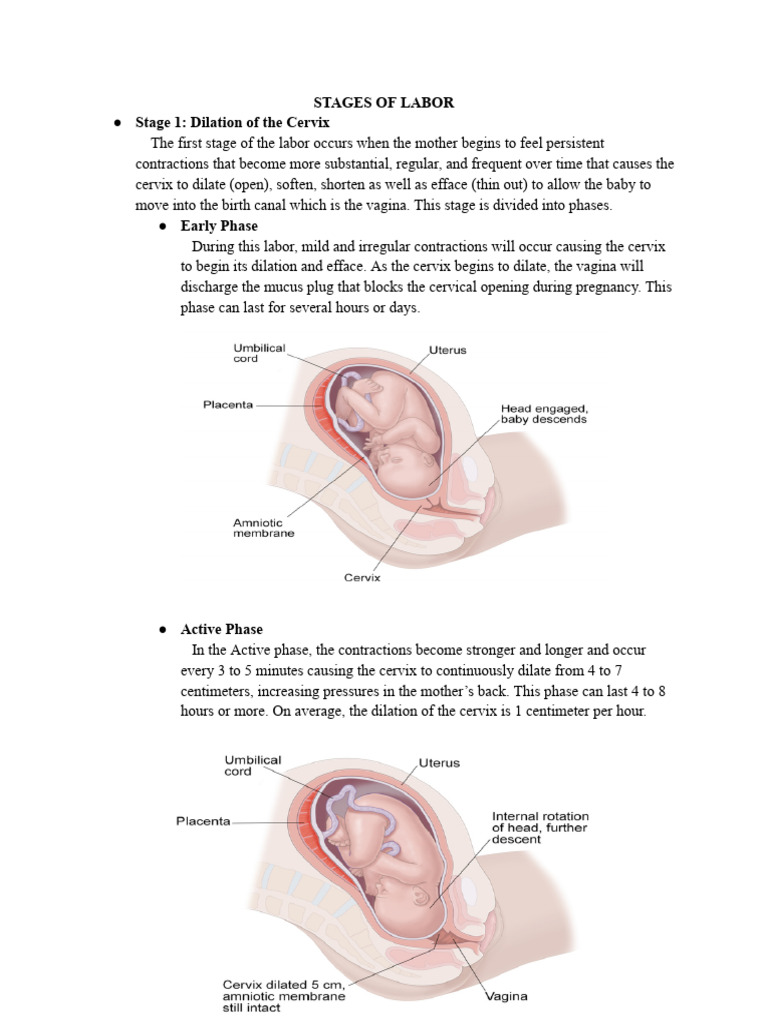 Stages of Labor | PDF | Childbirth | Vagina