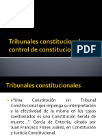 Tribunales Constitucionales y Jurisdicción Constitucional