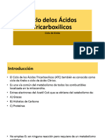 Ciclo Delos Ácidos Tricarboxilicos