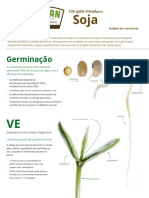 A Visual Guide To Soybean .En - PT