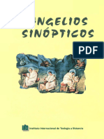 IITD, Evangelios Sinópticos, Madrid 2009