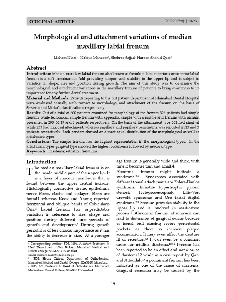 Variations in Maxillary Frenum Attachments | PDF