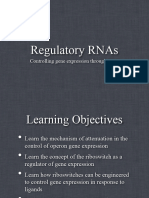 Lecture 15 Regulatory RNAs