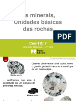 b2 Os Minerais