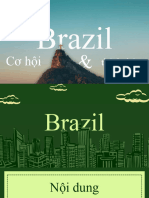 Tình Hình Phát Triển Kinh Tế - Xã Hội ở Brazil