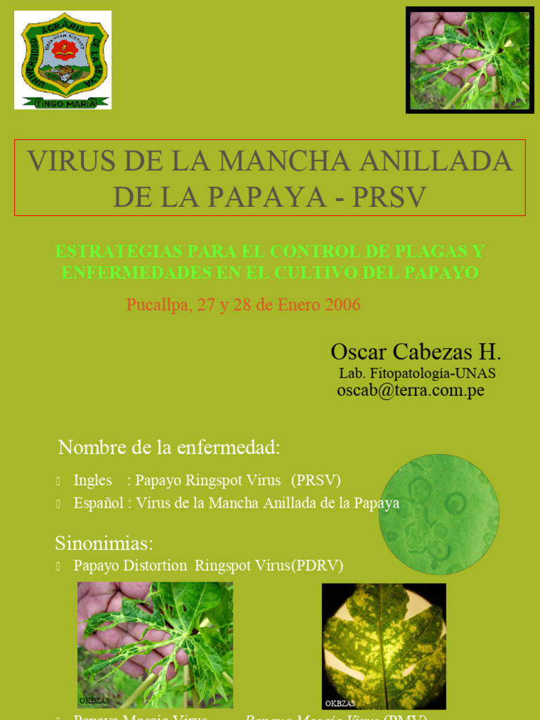 Virus de Papayo (PRSV) | PDF