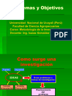 Probelmas y Objetivos de Investigación