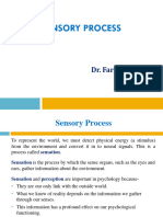 Sensory Process