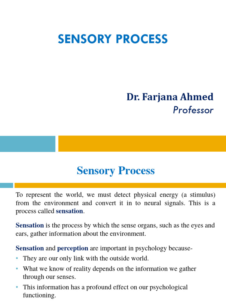 Sensory Process PDF Senses Stimulus (Physiology)