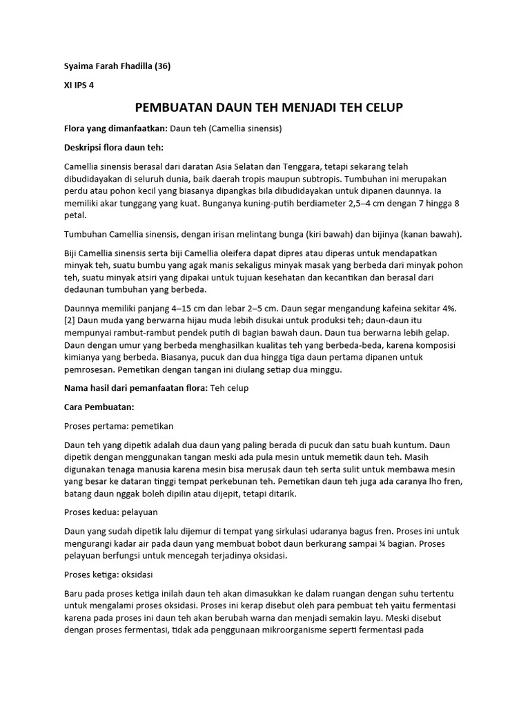 Pembuatan Daun Teh Menjadi Teh Celup | PDF