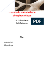 Fichier Produit 3818