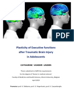 Plasticity of Executive Functions - Catharine Vander Linden