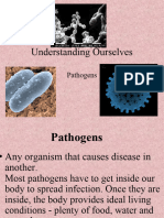 Microorganisms Lesson - 3