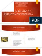 Especies en Peligro de Extinción en Venezuela