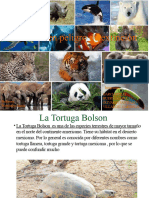 Animales en Peligro de Extinción: Garcia Kelly Huerta Maria Olivares Santiago Villaroel Gabriela Integrantes