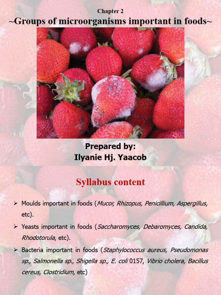 Chapter 2 - Groups of Microorganisms Important in Foods | PDF | Yeast ...