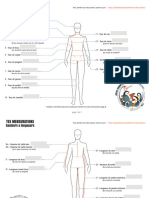 FR Mensurations-Homme