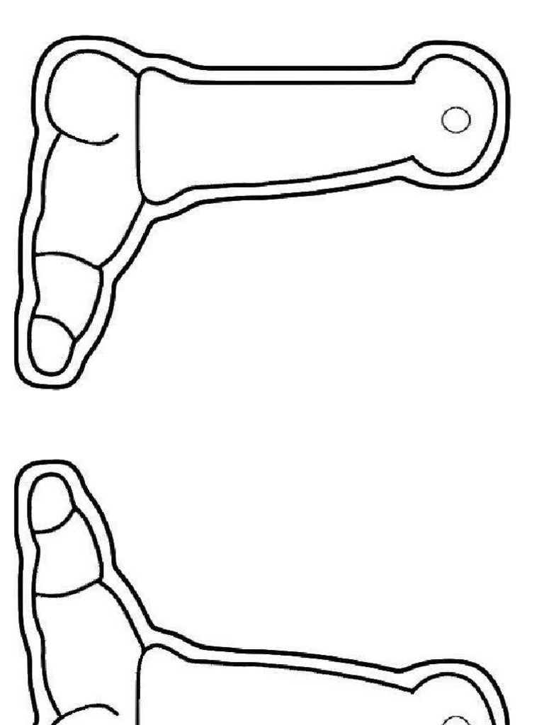 Anexos 2 esqueletos pdf