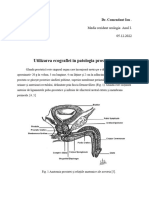 USG in patologia prostatei Dr Comendant Ion