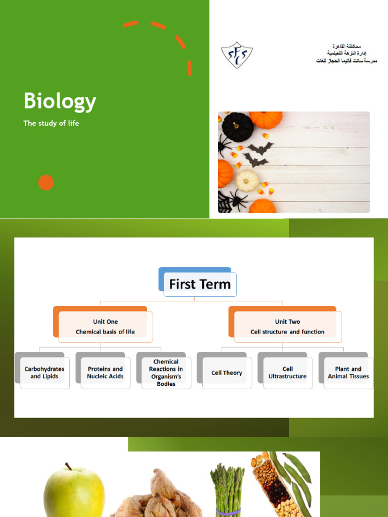 Carbohydrates, Lipids, Proteins and Nucleic Acids PDF Carbohydrates