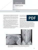 Capitulo 48 Intestino Grueso Imagenologia