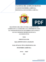 Universidad Nacional Del Altiplano de Puno: Facultad de Ingeniería Agrícola