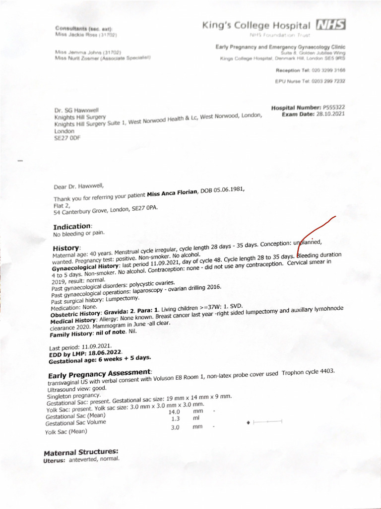 Luca First Scan | PDF