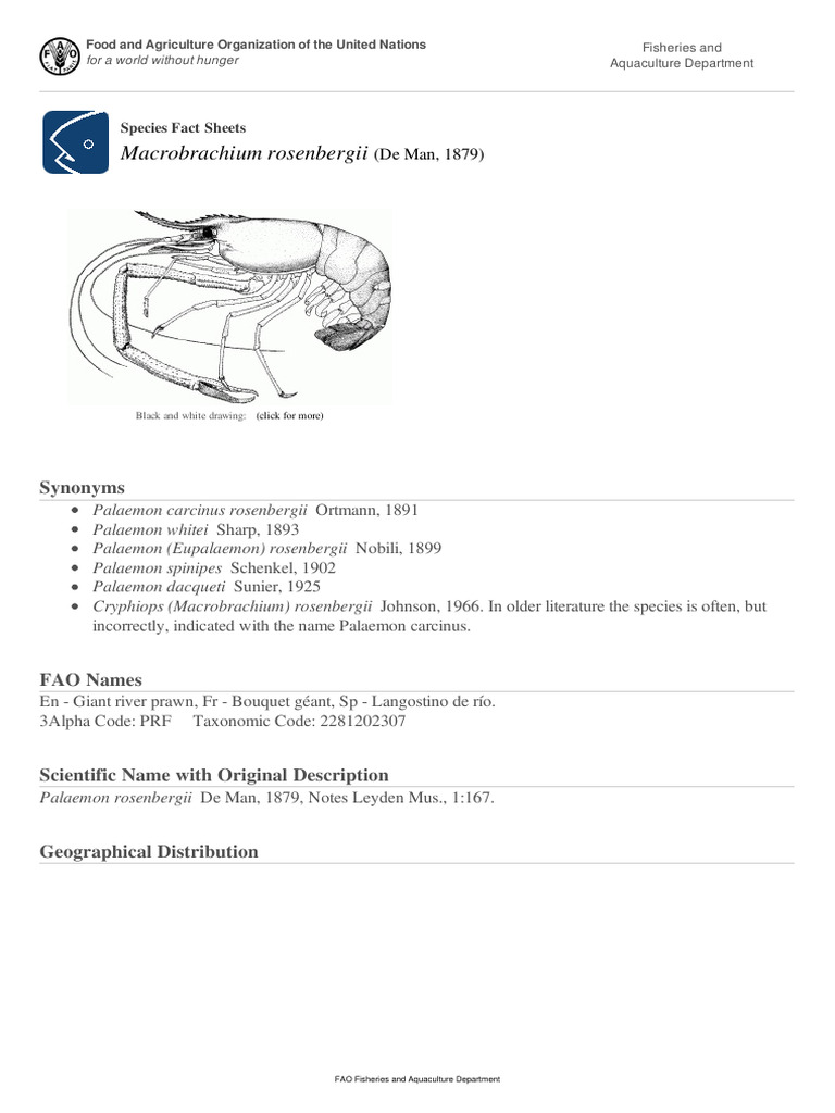 FAO Fisheries & Aquaculture Species Fact Sheets Macrobrachium