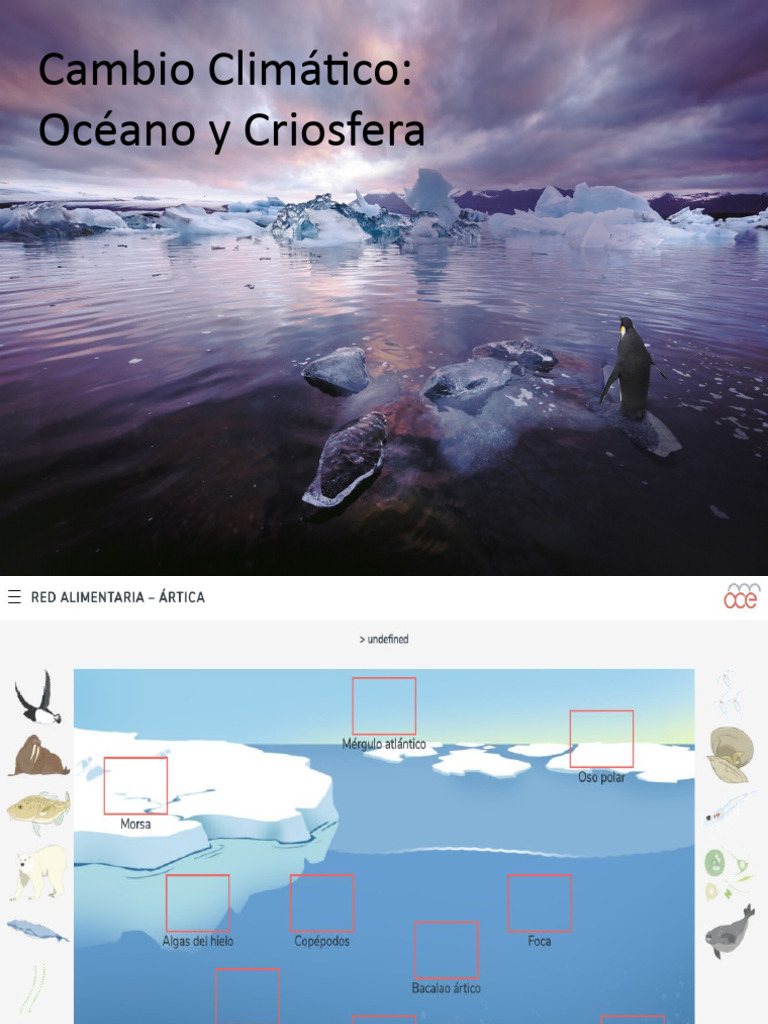 Oceano pdf