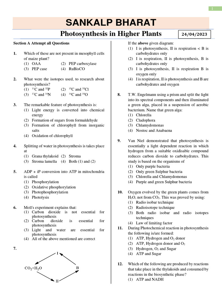 NEET MCQs on Photosynthesis | PDF | Biology | Photochemistry