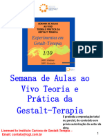 Semana Da Aula Ao Vivo TEORIA E PRÁTICA DA GESTALT TERAPIA COMPLETO