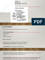 Nefropatii Glomerulare Acute: Nefrologie-Curs Nr. 1