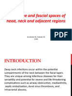 Fascial Spaces