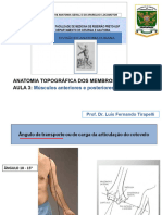 Aula 3 Membros Superiores MM Do Antebraço