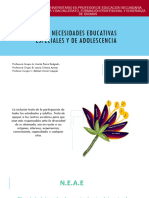 Tema 3. Necesidades Educativas Especiales 1