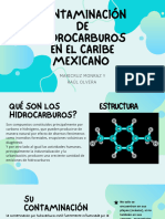 Contaminación de Hidrocarburos