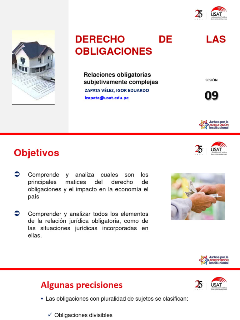 Divisibilidad e Indivisibilidad en Obligaciones | PDF | Ciencias sociales
